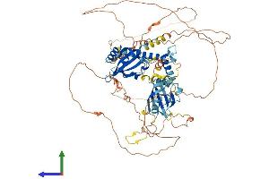 Protein Structure (PS) image for Aryl Hydrocarbon Receptor Nuclear Translocator 2 (ARNT2) (AA 1-712) protein (His tag) (ABIN7557692)