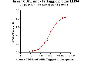 ELISA plate pre-coated by 2 μg/mL (100 μL/well) Human B7-1, hFc tagged protein ABIN6961158, ABIN7042345 and ABIN7042346 can bind Human CD28, mFc-His tagged protein (ABIN6961087, ABIN7042203 and ABIN7042204) in a linear range of 125-4000 ng/mL.