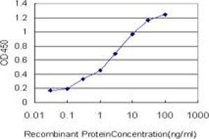 Detection limit for recombinant GST tagged MVD is approximately 0. (MVD 抗体  (AA 301-398))