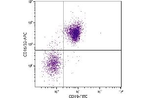 BALB/c mouse splenocytes were stained with Rat Anti-Mouse CD16/32-APC. (CD32/CD16 抗体  (APC))