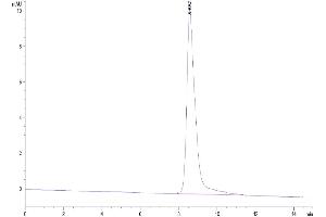 Size-exclusion chromatography-High Pressure Liquid Chromatography (SEC-HPLC) image for Interleukin 3 (IL-3) (AA 20-152) protein (His-Avi Tag) (ABIN7274940)