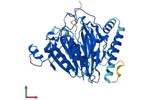 Protein Structure (PS) image for Secernin 2 (SCRN2) (AA 1-425) protein (His tag) (ABIN7559808)