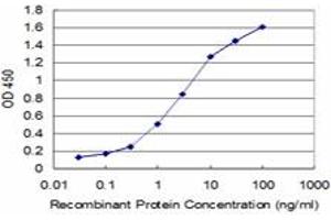 Detection limit for recombinant GST tagged HEY1 is approximately 0. (HEY1 抗体  (AA 121-220))