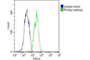 Overlay histogram showing HepG2 cells stained with (ABIN652479 and ABIN2842326) (green line). (IFNB1 抗体  (N-Term))
