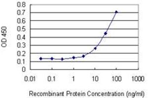 Detection limit for recombinant GST tagged TRAF4 is 3 ng/ml as a capture antibody. (TRAF4 抗体  (AA 371-470))
