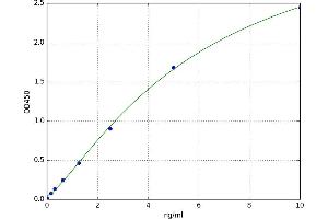 A typical standard curve (Caspase 12 ELISA 试剂盒)
