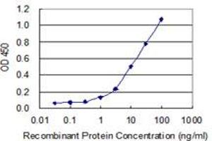 Detection limit for recombinant GST tagged KLHDC4 is 0. (KLHDC4 抗体  (AA 1-463))