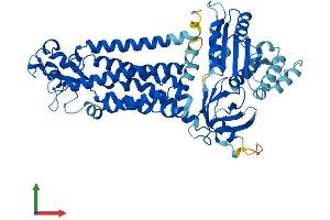 Protein Structure (PS) image for NADPH Oxidase 3 (NOX3) (AA 1-568) protein (His tag) (ABIN7557871)