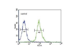 Flow cytometric analysis of 293 cells (right histogram) compared to a negative control cell (left histogram). (Tryptophan Hydroxylase 2 抗体  (AA 168-193))