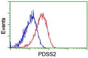 Flow cytometric Analysis of Hela cells, using anti-PDSS2 antibody (ABIN2455300), (Red), compared to a nonspecific negative control antibody, (Blue). (PDSS2 抗体)