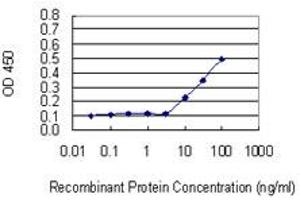 Detection limit for recombinant GST tagged RGN is 3 ng/ml as a capture antibody. (Regucalcin 抗体  (AA 200-299))