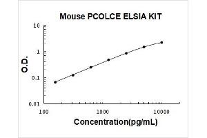 Procollagen C-Endopeptidase Enhancer (PCOLCE) ELISA Kit