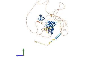 Protein Structure (PS) image for Mex-3 Homolog D (MEX3D) (AA 1-643) protein (His tag) (ABIN7557171)