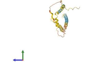 Protein Structure (PS) image for Spermatogenesis Associated 9 (SPATA9) (AA 1-252) protein (His tag) (ABIN7561182)