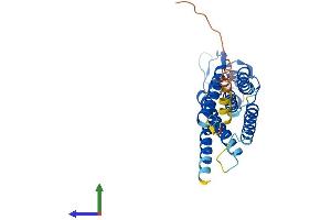 AlphaFold protein structure predicition of Human Recombinant PLPP2 Protein, UniprotID O43688 (PPAP2C Protein (AA 1-288) (His tag))