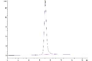 Size-exclusion chromatography-High Pressure Liquid Chromatography (SEC-HPLC) image for Tumor Necrosis Factor (Ligand) Superfamily, Member 14 (TNFSF14) (AA 89-240), (Trimer) protein (His-DYKDDDDK Tag) (ABIN7275148)