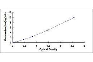 ELISA image for Mannose Receptor, C Type 1 (MRC1) ELISA Kit (ABIN432190)