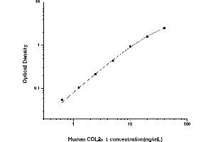 COL2A1 ELISA 试剂盒