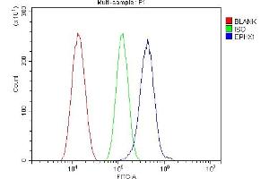 Flow Cytometry analysis of SiHa cells using anti-Epoxide hydrolase/EPHX1 antibody (ABIN7601696).