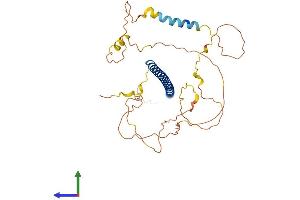 AlphaFold protein structure predicition of Mouse Recombinant Junb Protein, UniprotID P09450