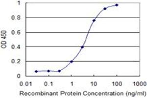 Detection limit for recombinant GST tagged SFRS12 is 0. (SFRS12 抗体  (AA 443-508))