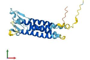 AlphaFold protein structure predicition of Human Recombinant PERP Protein, UniprotID Q96FX8