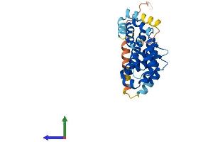 AlphaFold protein structure predicition of Human Recombinant MRO Protein, UniprotID Q9BYG7 (MRO Protein (AA 1-248) (His tag))