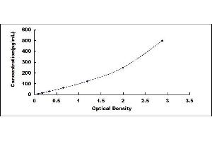 Typical standard curve (IL1A ELISA 试剂盒)