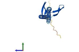 Protein Structure (PS) image for Ubiquitously-Expressed, Prefoldin-Like Chaperone (UXT) (AA 1-157) protein (His tag) (ABIN7555969)