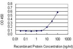 Detection limit for recombinant GST tagged TIMP3 is 3 ng/ml as a capture antibody. (TIMP3 抗体  (AA 112-211))