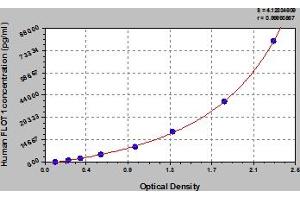 Typical Standard Curve (Flotillin 1 ELISA 试剂盒)