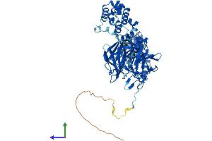 Protein Structure (PS) image for Kelch-Like 20 (KLHL20) (AA 1-609) protein (His tag) (ABIN7554383)