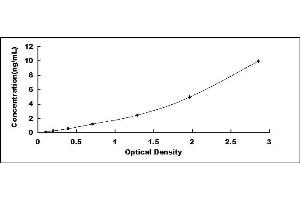 Typical standard curve (SF3B3 ELISA 试剂盒)