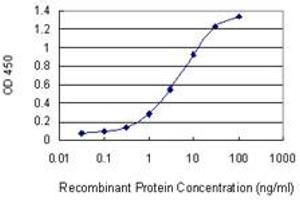 Detection limit for recombinant GST tagged PGBD1 is 0. (PGBD1 抗体  (AA 241-350))