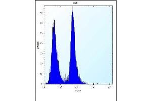 Antibody (N-term) (ABIN656739 and ABIN2845963) flow cytometric analysis of  cells (right histogram) compared to a negative control cell (left histogram). (SEL1L3 抗体  (N-Term))