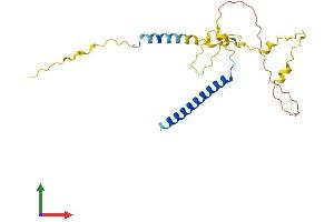 AlphaFold protein structure predicition of Human Recombinant MBD3L3 Protein, UniprotID A6NE82