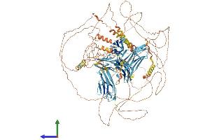 AlphaFold protein structure predicition of Mouse Recombinant Mypn Protein, UniprotID Q5DTJ9