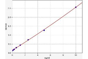 Typical standard curve