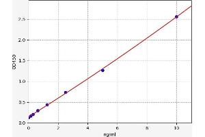 Typical standard curve (WNT3 ELISA 试剂盒)