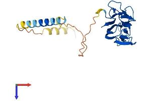 Protein Structure (PS) image for Tumor Necrosis Factor alpha (TNF alpha) (AA 1-235) protein (His tag) (ABIN7562751)