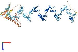 AlphaFold protein structure predicition of Human Recombinant ZNF420 Protein, UniprotID Q8TAQ5