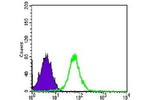 FC analysis of PC-2 cells using CDH2 antibody (green) and negative control (purple). (N-Cadherin 抗体)