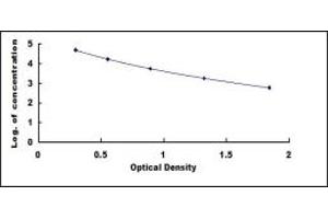 Typical standard curve (IgA Secretory Component ELISA 试剂盒)