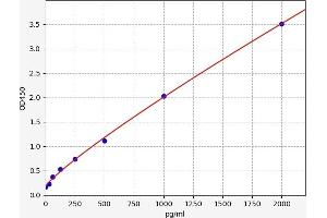 ENPP1 ELISA 试剂盒