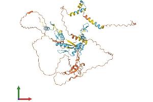 Protein Structure (PS) image for Zinc Finger Protein 653 (ZNF653) (AA 1-615) protein (His tag) (ABIN7545577)