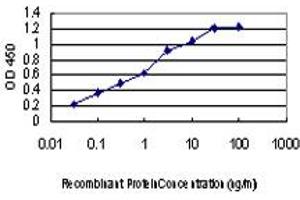 Detection limit for recombinant GST tagged DYRK2 is approximately 0. (DYRK2 抗体  (AA 1-100))