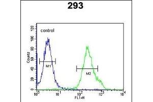 KCTD21 Antibody (C-term) (ABIN651600 and ABIN2840317) flow cytometric analysis of 293 cells (right histogram) compared to a negative control cell (left histogram). (KCTD21 抗体  (C-Term))