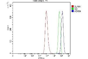 Flow Cytometry analysis of HEL cells using anti-ABHD4 antibody (ABIN7601011).