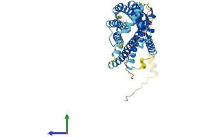 Protein Structure (PS) image for Chemokine (C-X-C Motif) Receptor 3 (CXCR3) (AA 1-368) protein (His tag) (ABIN7553600)