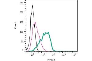 Cell surface detection of GLP1R in live intact human  megakaryoblastic leukemia cells:___ Cells.